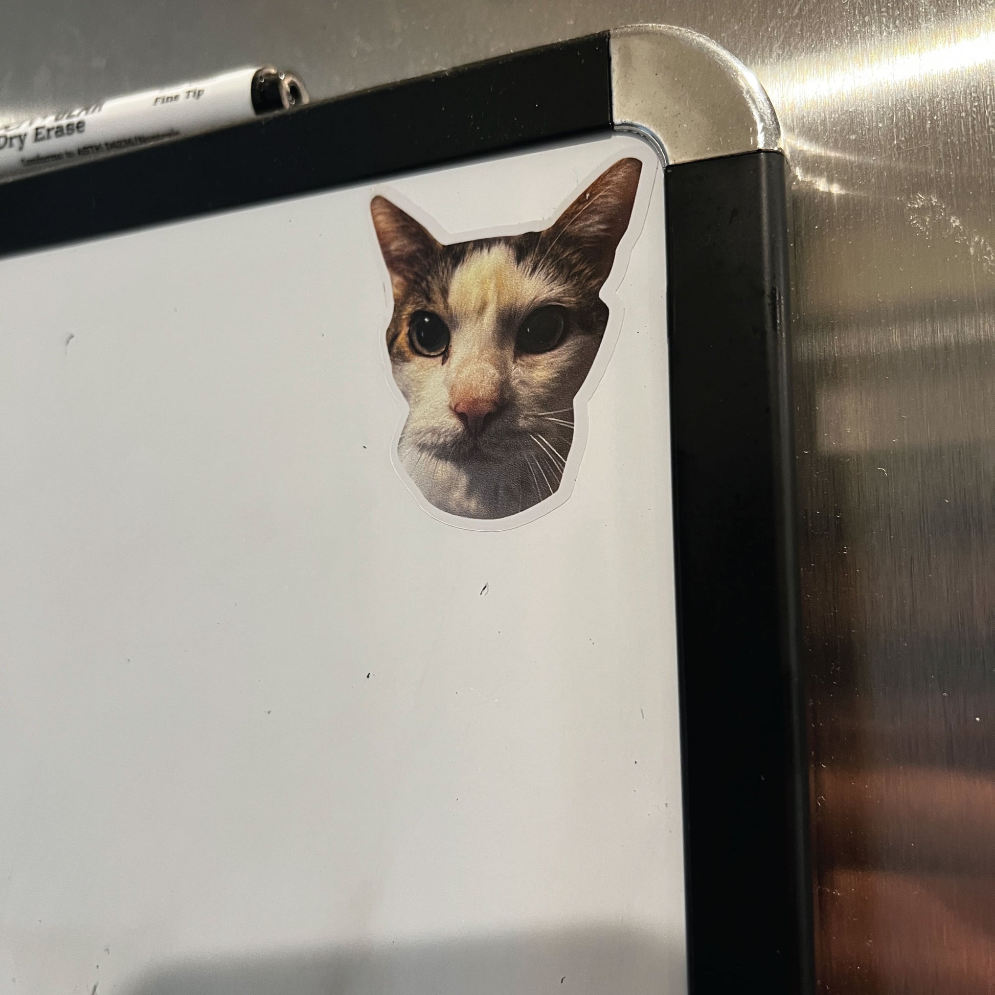 A photo example of a custom cat photo applied to a whiteboard on a silver fridge.